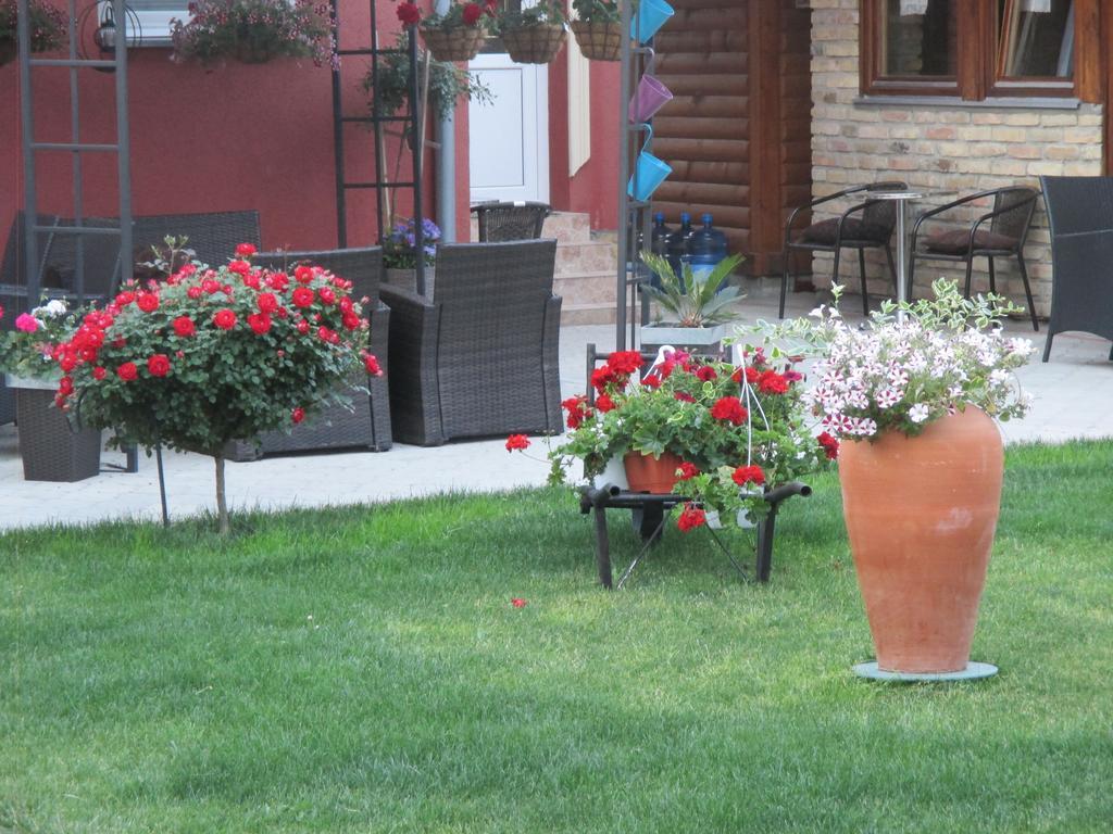 Vila Boska Palić المظهر الخارجي الصورة