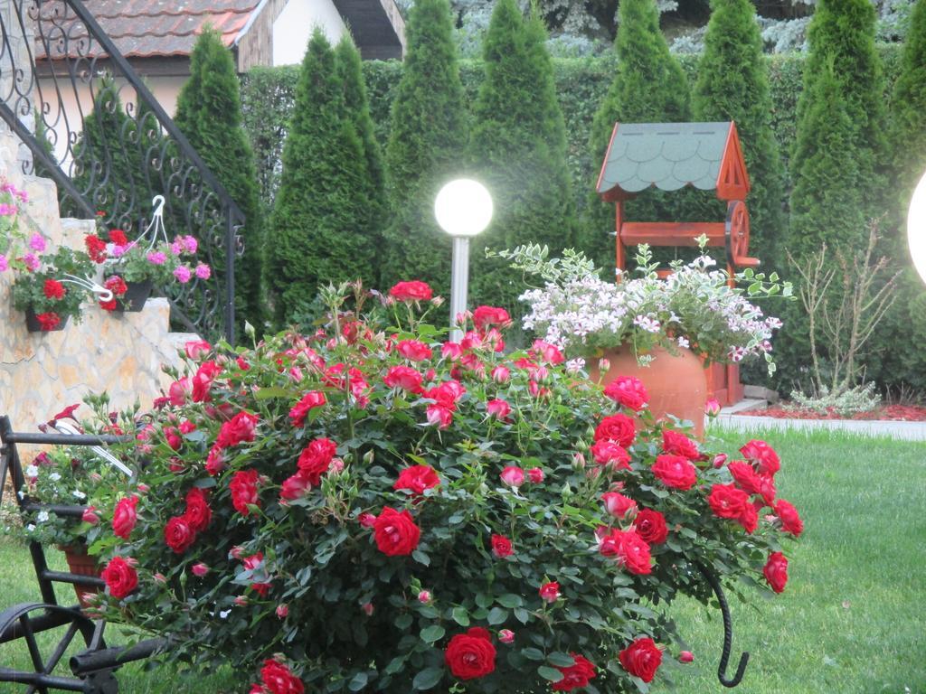 Vila Boska Palić المظهر الخارجي الصورة
