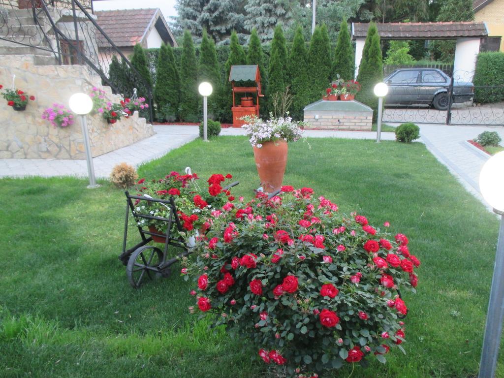 Vila Boska Palić المظهر الخارجي الصورة